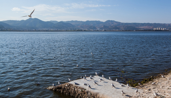 Dianchi-Lake-2