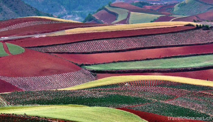 Dongchuan-Red-Land-Scenic-Area-10