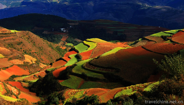 Dongchuan-Red-Land-Scenic-Area-1