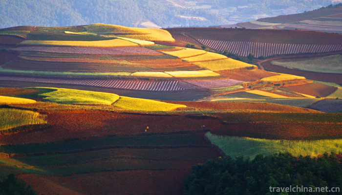Dongchuan-Red-Land-Scenic-Area-8