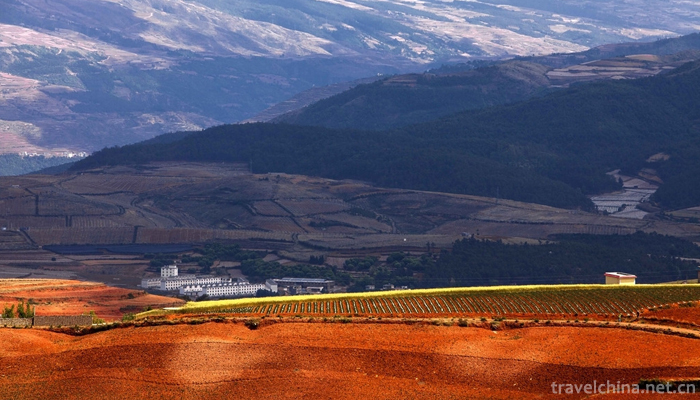 Dongchuan-Red-Land-Scenic-Area-22