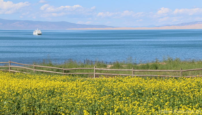 Qinghai-Lake-20