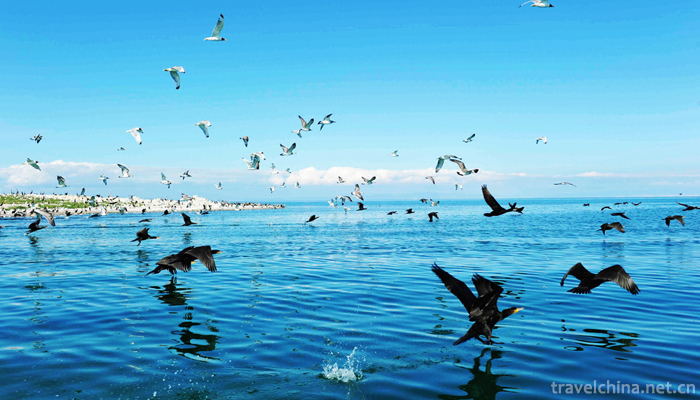 Qinghai-Lake-8