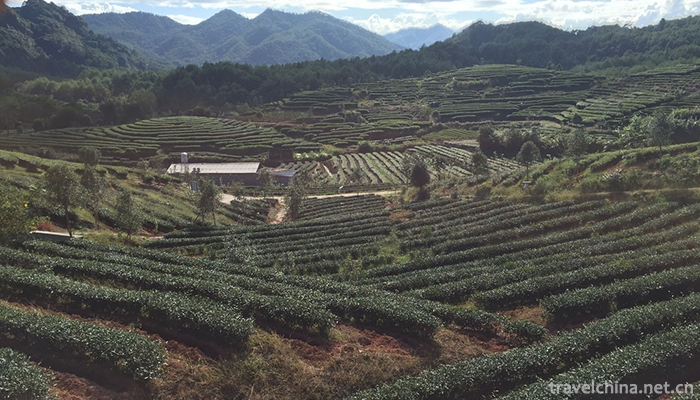 Mount-Wuyi-19