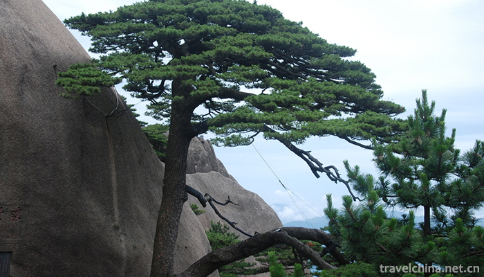 Mount-Huangshan-20
