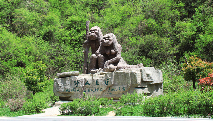 .Shennongjia-12.jpg