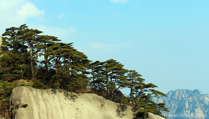 Mount-Huangshan-3