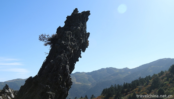 .Shennongjia-4.jpg
