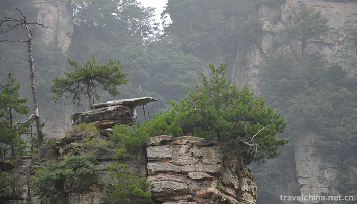 zhangjiajie-national-forest-park-12