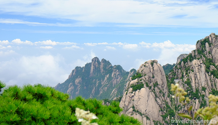 Mount-Huangshan-24