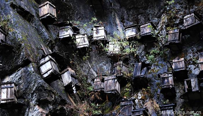 .Shennongjia-1.jpg