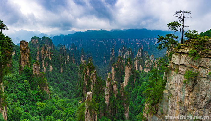 zhangjiajie-national-forest-park-8