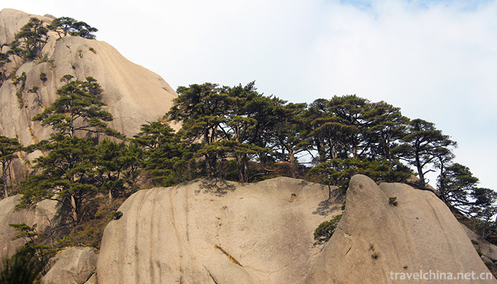 Mount-Huangshan-1
