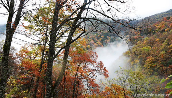 .Shennongjia-9.jpg