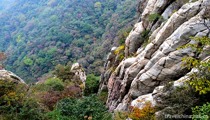 Mount-Song--7
