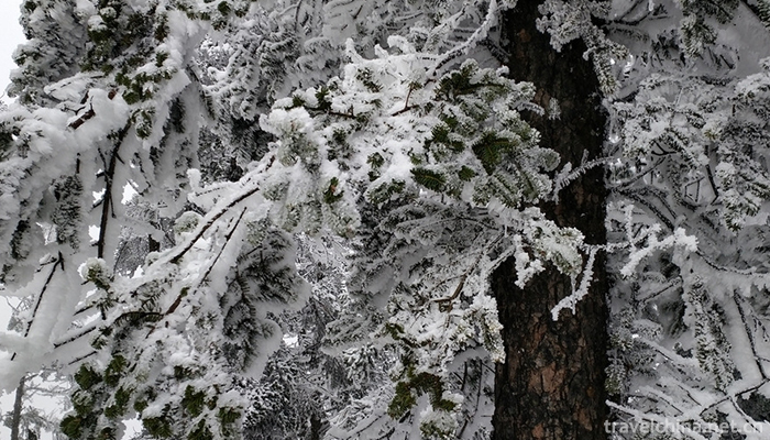 Xiling-snow-mountain-10