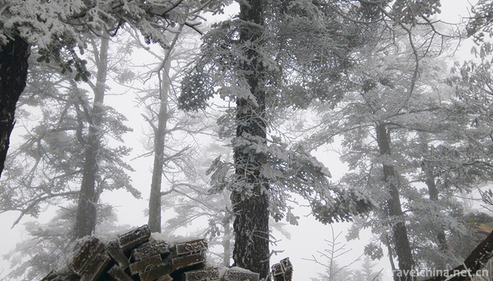 Xiling-snow-mountain-7