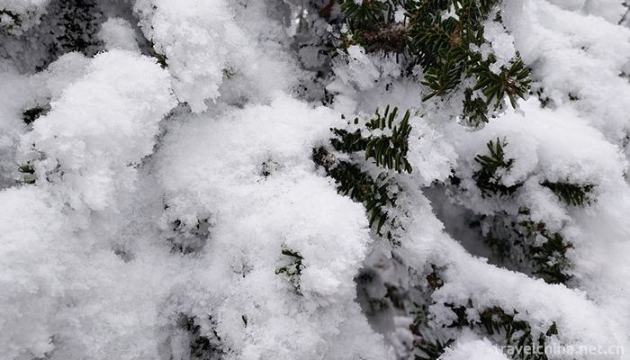 Xiling-snow-mountain-11
