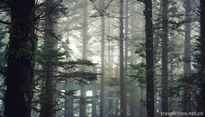 Xiling-snow-mountain-16