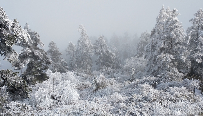 Xiling-snow-mountain-8
