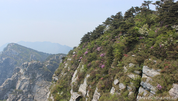 Mountain-Lushan-7