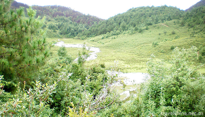 Ailao-Mountain-3