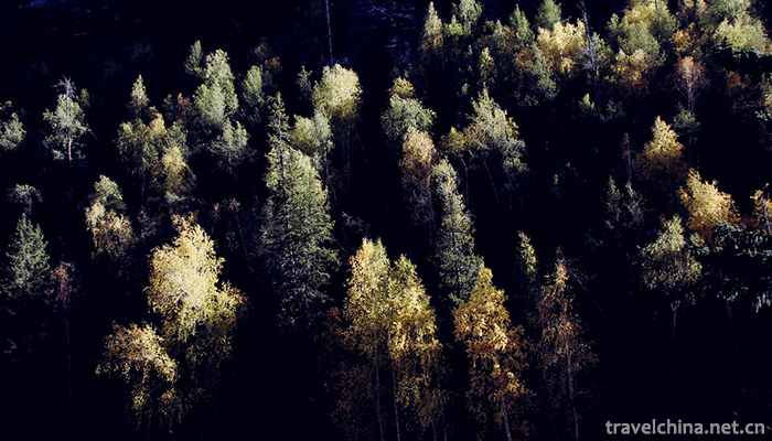 Altai-Mountains-3