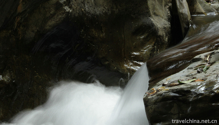 Ailao-Mountain-7
