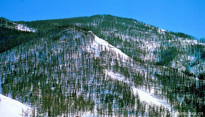 Altai-Mountains-6