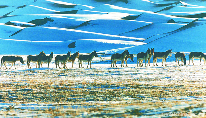 A-erh-chin-Mountains-2