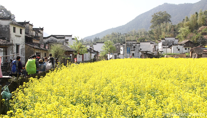 Wuyuan-County-7