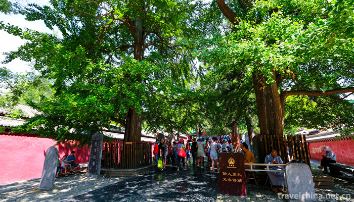 Shaolin-Temple-9