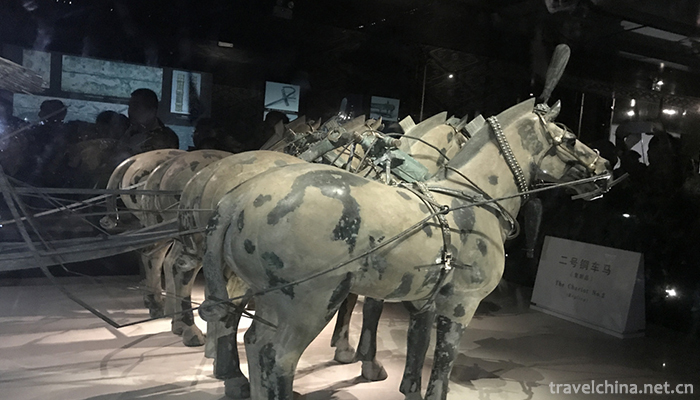 Terracotta-Army-4