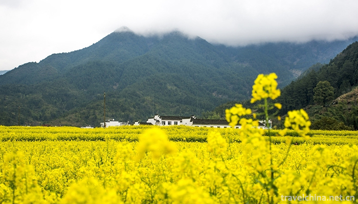 Wuyuan-County-2