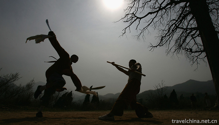 Martial-Art-9