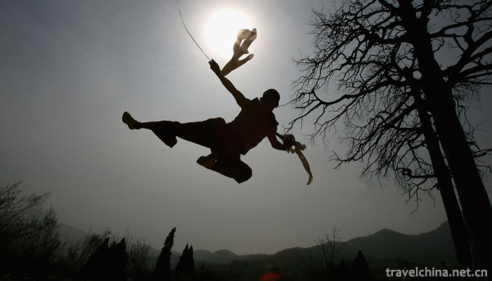 Martial-Art-8