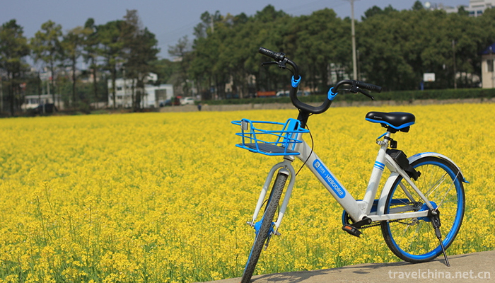 Chinese-Shared-bicycle-3
