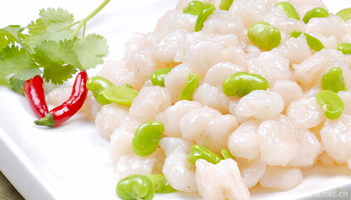 Crystal-River-Shrimps-1