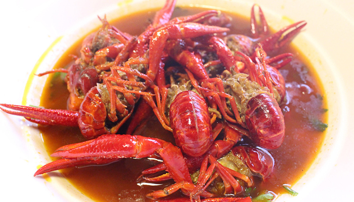 taste-shrimp-4
