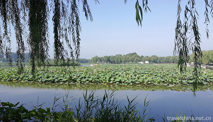 Baiyang-Lake--14