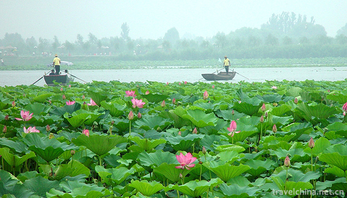 Baiyang-Lake-2