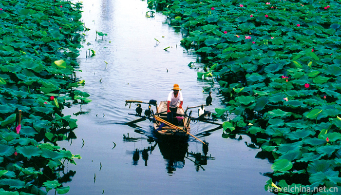 Baiyang-Lake-1
