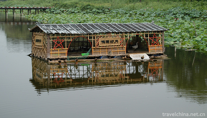 Baiyang-Lake--15
