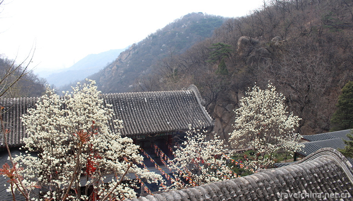 Tianjin-Panshan-Scenic-Area-4
