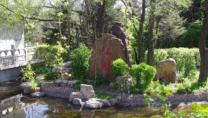 Shenyang-Botanical-Garden-7