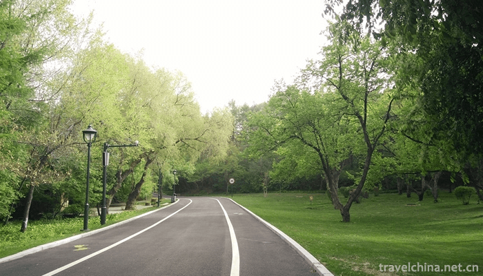 Shenyang-Botanical-Garden-10