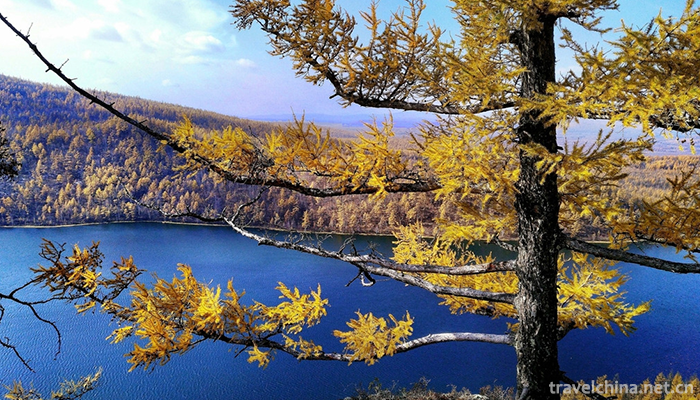 Alshan-Chaihe-Tourist-Scenic-Area-10