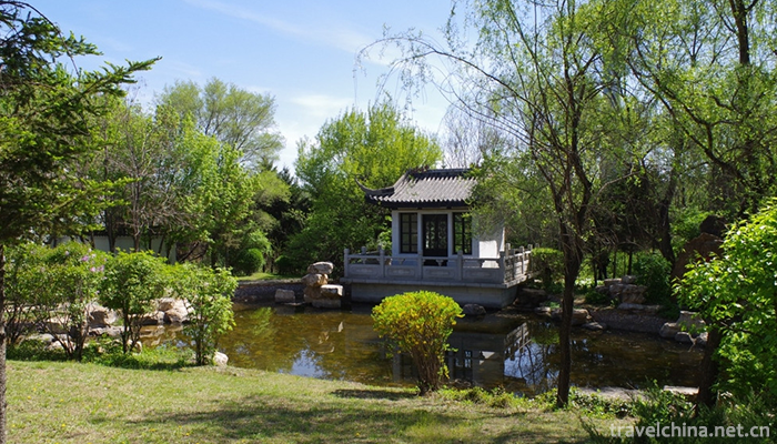 Shenyang-Botanical-Garden-6
