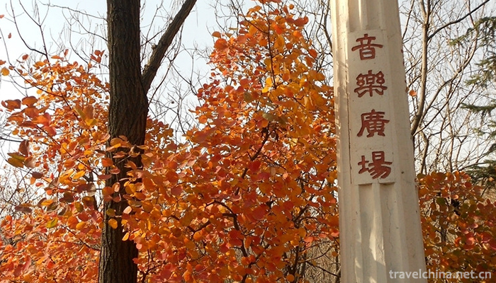 Shenyang-Botanical-Garden-4