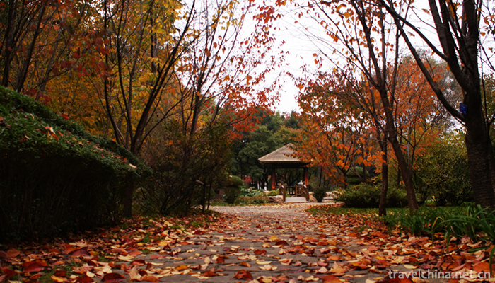 Shenyang-Botanical-Garden-2